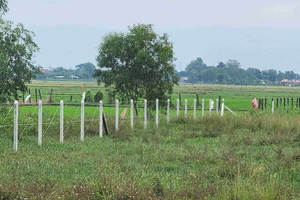 TPHCM: Nhà đầu tư nghe ngóng tác động từ bảng giá đất mới