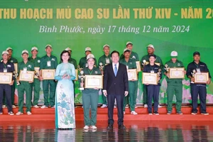 Công ty CP Cao su Đồng Phú giành giải Nhất đồng đội “Hội thi Bàn tay vàng thu hoạch mủ cao su” 