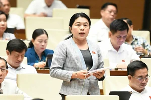 Các đại biểu dự phiên thảo luận ngày 905. Ảnh: VIẾT CHUNG