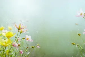 Mùa hè đọng lại…