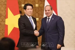 Nâng cấp quan hệ Việt Nam - Ai Cập lên Đối tác Toàn diện
