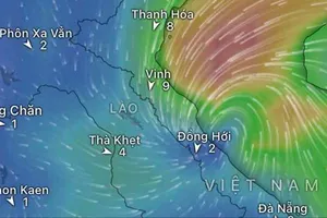 Áp thấp nhiệt đới mạnh lên thành bão, hướng vào Quảng Trị - Huế