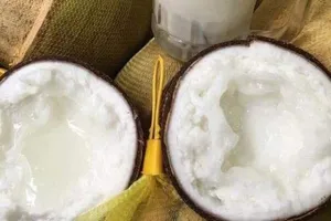 Dừa sáp - món quà ngẫu nhiên của đất trời
