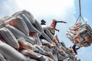 Tìm giải pháp cho xuất khẩu gạo