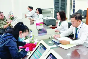 TPHCM rà soát đánh giá đội ngũ công chức