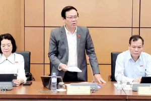 Các ĐBQH thảo luận tại tổ