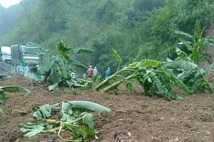 Quảng Ngãi: Sạt lở trên đèo Lò Xo, giao thông chia cắt