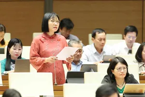 Các đại biểu dự phiên họp chiều 28-10. Ảnh QUANG PHÚC