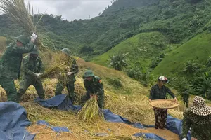 Cán bộ, chiến sĩ Đồn Biên phòng La Êê khẩn trương giúp dân gặt lúa nương trên đồi Bhơr
