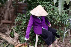 Bình yên sau bão lũ