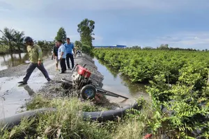 Người và phương tiện hút nước được điều động đến khu vực kênh Tràm Lầy 1, ấp 3, xã Bình Lợi để ứng phó ngập do triều cường và mưa lớn