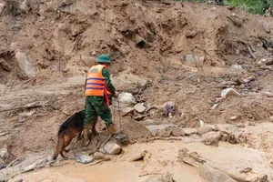 Đà Nẵng: Tìm thấy thi thể đầu tiên trong vụ sạt lở ở Hùng Sơn