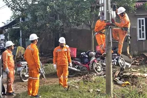 Điện lực Lâm Đồng huy động toàn lực khôi phục điện vùng l 