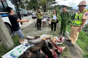 Phát hiện xe khách chở nhiều cá thể nghi động vật rừng nguy cấp, quý hiếm. Ảnh: CACC