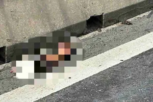 Hãi hùng phát hiện cánh tay người trên cao tốc Vĩnh Hảo - Phan Thiết