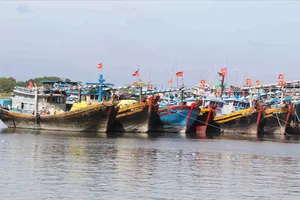 Tàu cá ngư dân TPHCM khi vươn khơi phải bảo đảm điều kiện hồ sơ theo đúng quy định.