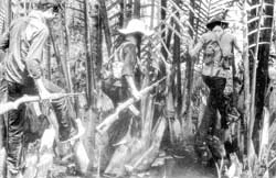 Một sự thật