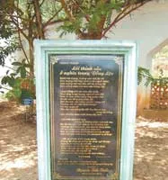 Trong phấn thông vàng