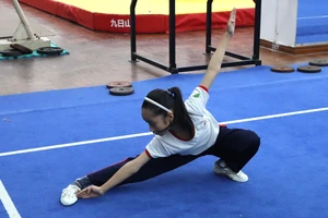 VĐV wushu TPHCM được tập luyện từ nhỏ để đảm bảo những yêu cầu nhanh, mạnh, dẻo, phản ứng nhanh. Ảnh: NGUYỄN ANH