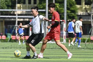 22 đội bóng tham dự giải 