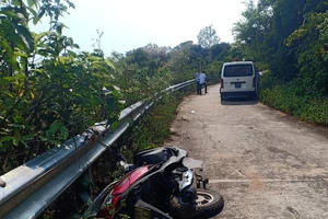 Đà Nẵng đưa ra phương án đảm bảo an toàn khi tham quan tại bán đảo Sơn Trà