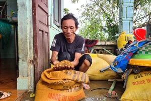 Quảng Nam: Nước lũ bắt đầu rút, người dân tranh thủ dọn dẹp