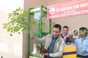 Chủ tịch nước Nguyễn Xuân Phúc phát biểu chỉ đạo hội thảo. Ảnh: NGUYỄN CƯỜNG
