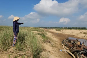 Hàng trăm hộ dân lo mất mùa khi không có nước tưới cho cây trồng