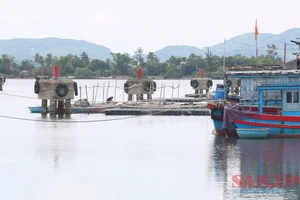 Chiếm dụng âu thuyền để nuôi thủy sản gây khó khăn cho tàu thuyền tránh trú bão