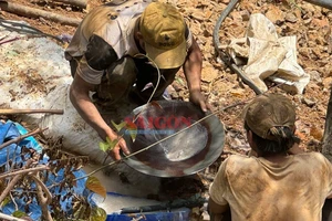 Rầm rộ khai thác vàng trái phép ở Quảng Nam: Lập nhiều tổ liên ngành để truy quét