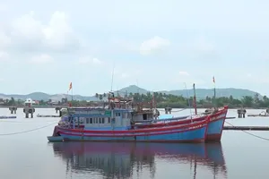 Quảng Nam: Một chủ tàu cá bị phạt 400 triệu đồng
