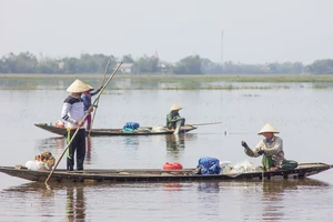 Mưu sinh vùng càng mùa nước nổi