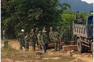 Lực lượng chức năng thu giữ nhiều khối gỗ lậu được cất giấu trong rừng sâu