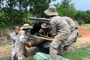 Lực lượng chức năng di chuyển bom về điểm tập kết để tiến hành hủy nổ