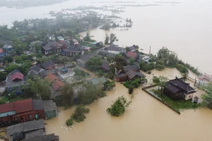 Quảng Trị: Mưa lũ cực đoan, dị thường gây thiệt hại nặng nề cho sản xuất nông nghiệp