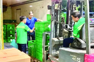 HCMC producers, distributors increase supply to disaster-hit North