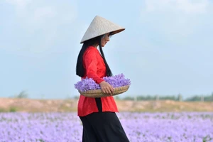 Hay sao tiếng “dạ” người Nam bộ 