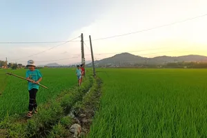 Hè về