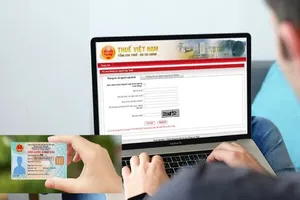 Sử dụng số định danh cá nhân thay cho mã số thuế