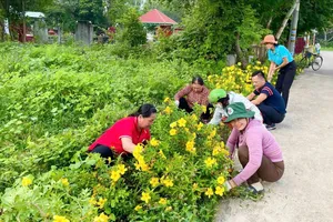 Mặt trận tổ quốc trong lòng dân - Bài 2: Chung tay giữ màu xanh