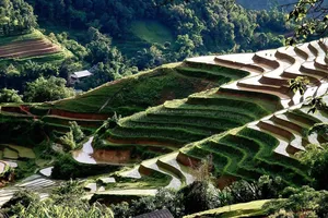 Vinh danh và trách nhiệm