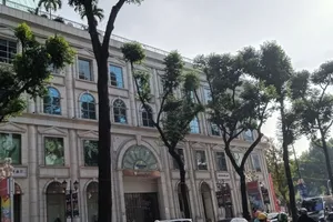 Vụ “Cắt tỉa quá tay, mảng xanh trơ trụi”: Rà soát, rút kinh nghiệm công tác cắt tỉa cây xanh