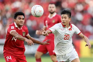 Đội tuyển Việt Nam và Indonesia chỉ có một trận giao hữu trong tháng 9. 