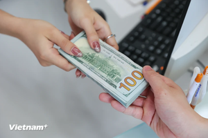 9月10日上午越南国内各家商业银行美元价格下降