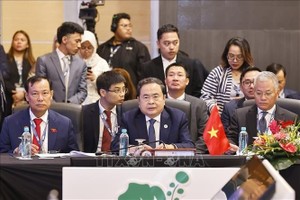 国会主席陈青敏出席第46届东盟议会联盟大会执行委员会会议。