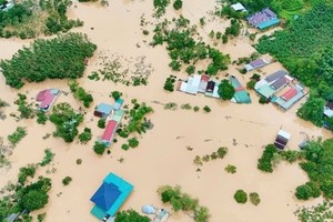 河静省受第10号台风严重影响。