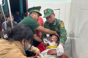  岘港市一人在回家途中被野熊袭击