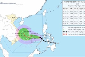 15号台风的位置和路径。