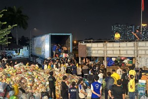 胡志明市各所大学、高等学校学生连夜投入搬运、整理物资和生活必需品，及时送往中部地区受台风洪灾影响的灾民手中。