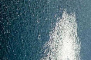 “北溪”管道爆炸。